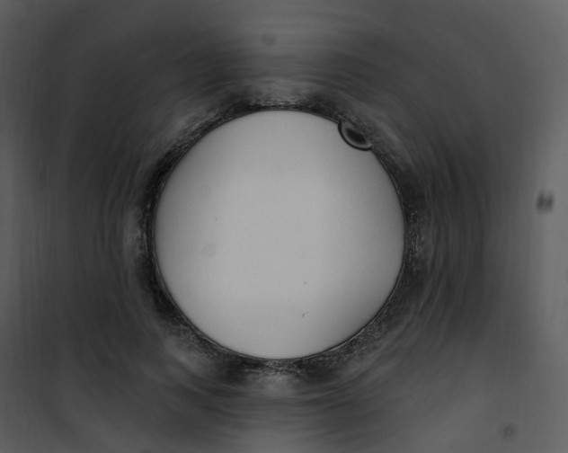 X0000101180743200807181447