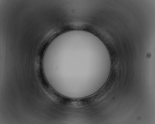 X0000101180744200807181447