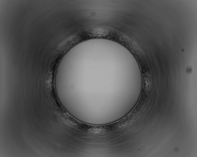 X0000101180745200807181447