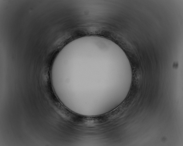 X0000101180746200807181447