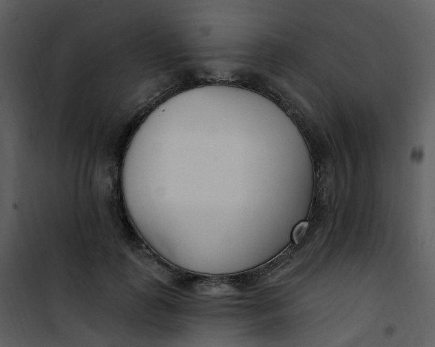 X0000101180747200807181447