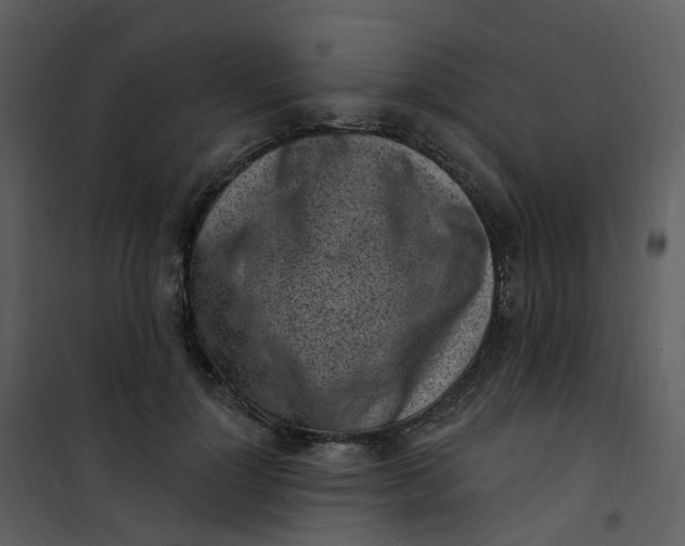 X0000101180748200807181447