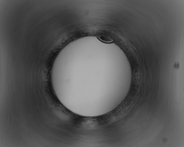 X0000101180750200807181447