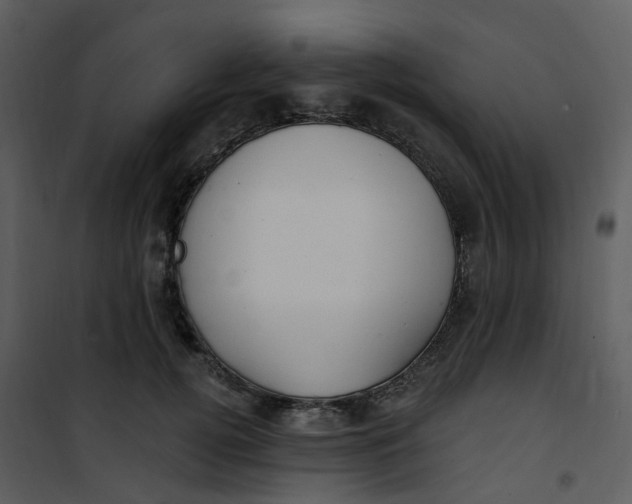 X0000101180752200807181447