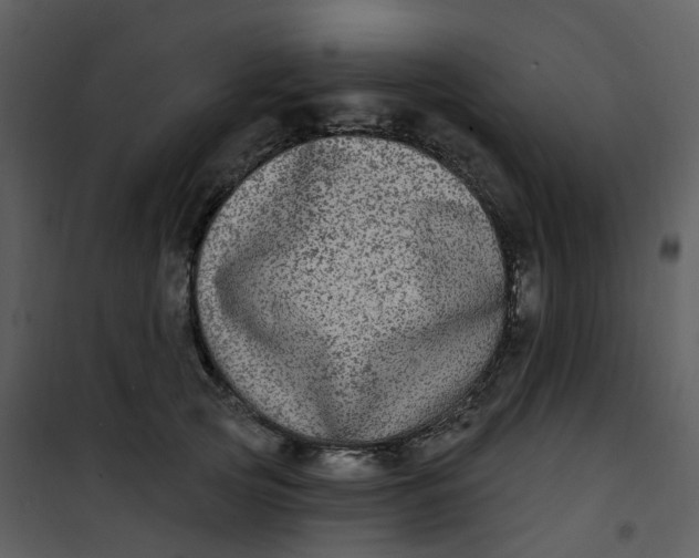 X0000101180753200807181447