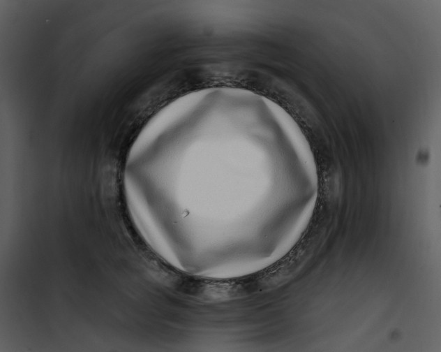 X0000101180757200807181447