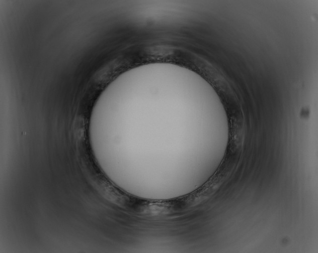 X0000101180758200807181447