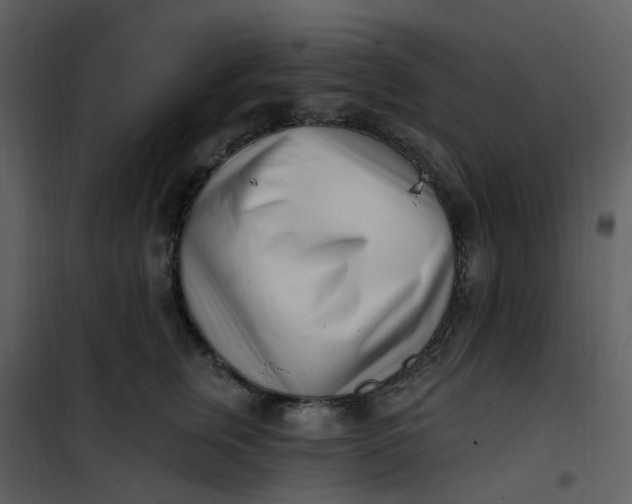 X0000101180759200807181447