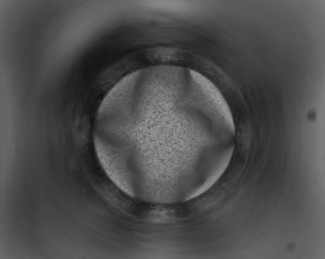 X0000101180760200807181448