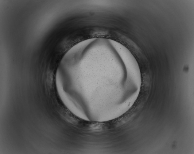 X0000101180761200807181448