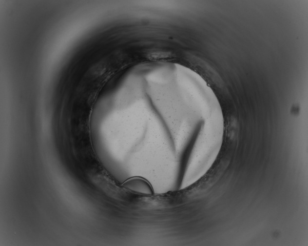 X0000101180763200807181448