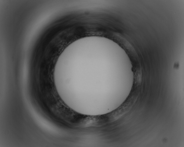 X0000101180764200807181448