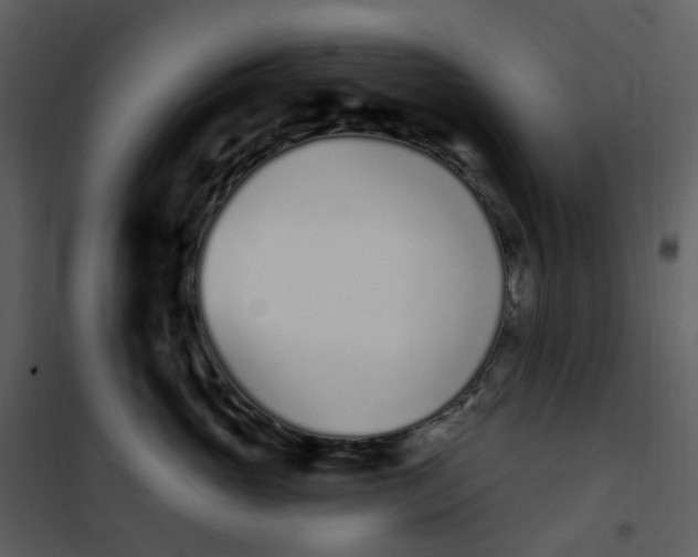 X0000101180765200807181448