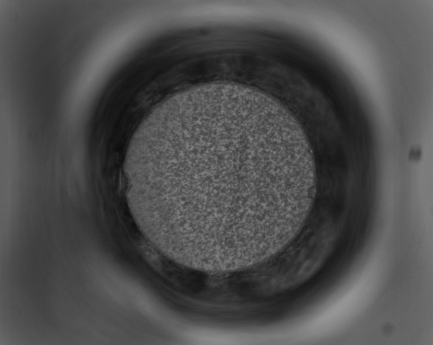 X0000101180766200807181448