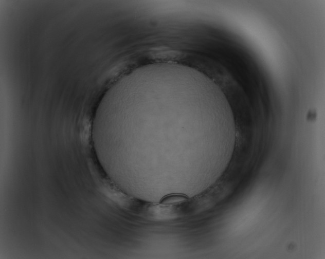 X0000101180767200807181448