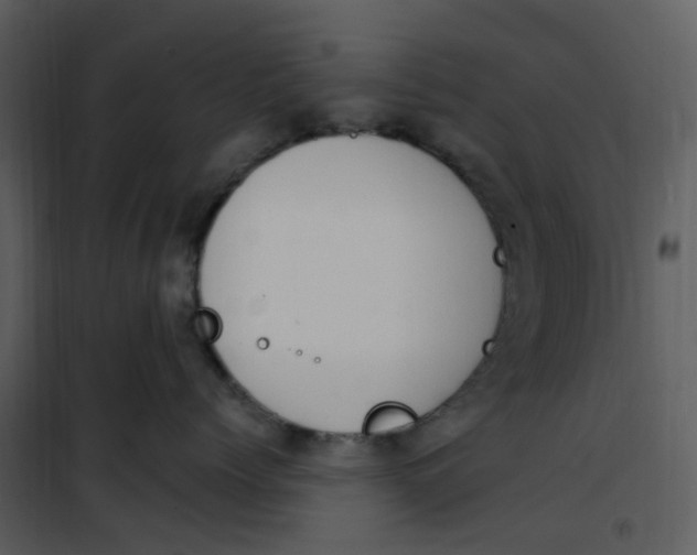 X0000101180768200807181448