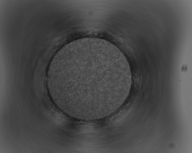 X0000101180769200807181447