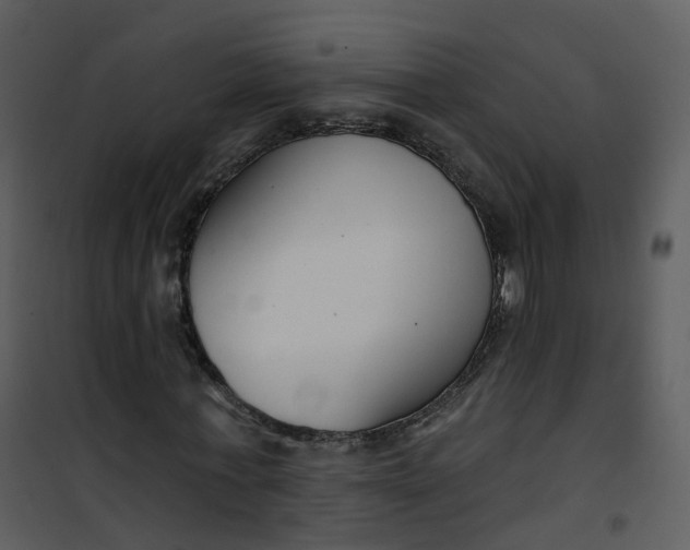 X0000101180771200807181447