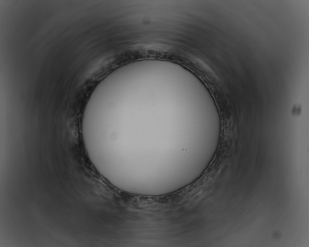 X0000101180774200807181447