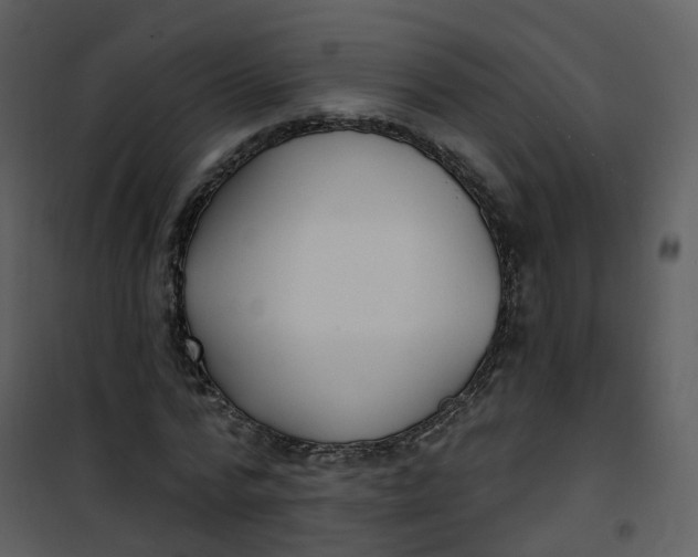 X0000101180776200807181447