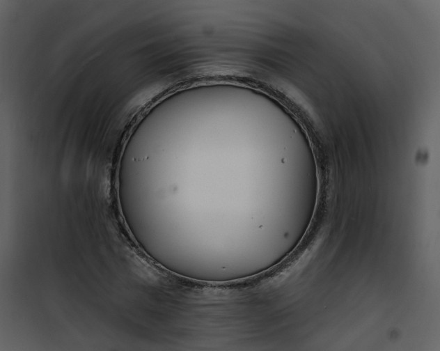 X0000101180777200807181447