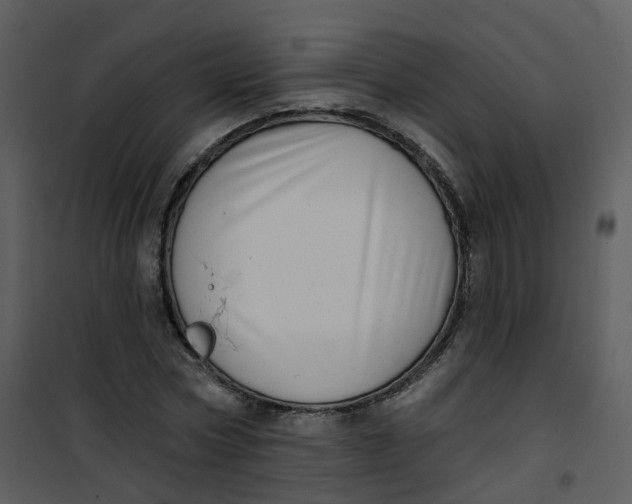 X0000101180778200807181447