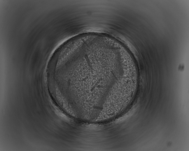 X0000101180779200807181447