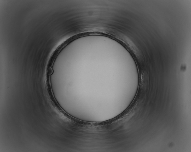 X0000101180780200807181447