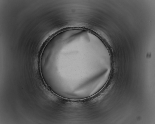 X0000101180781200807181447