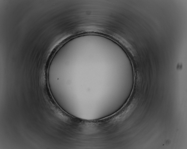 X0000101180782200807181447