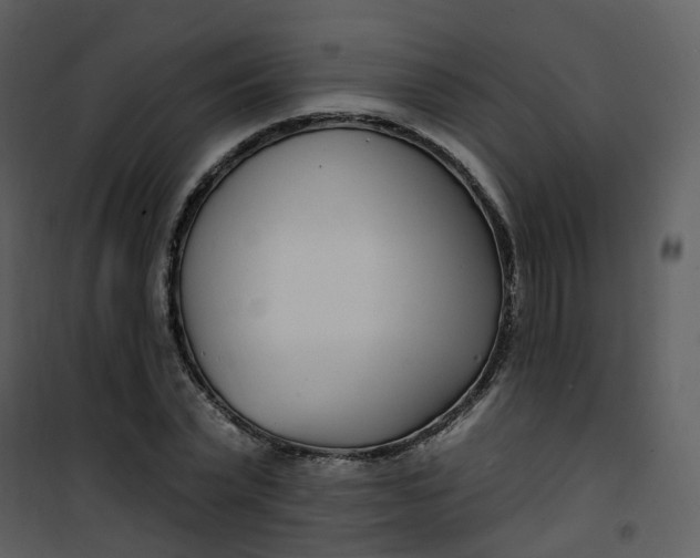 X0000101180783200807181447