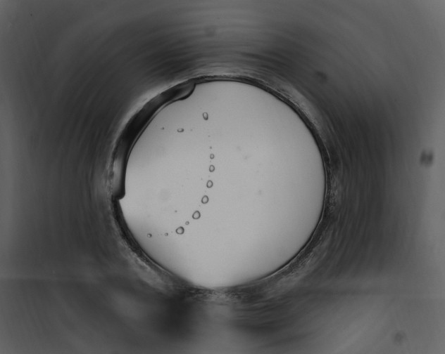 X0000101180787200807181447