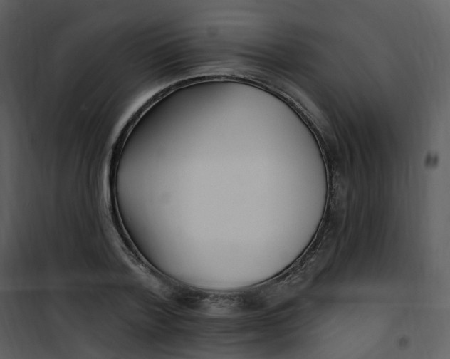 X0000101180788200807181447