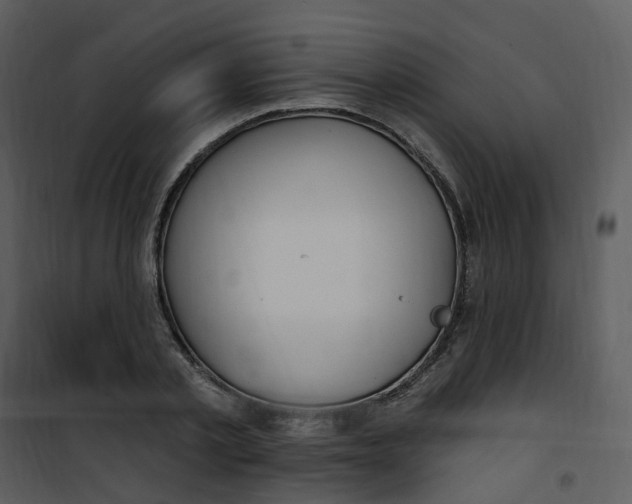 X0000101180789200807181446