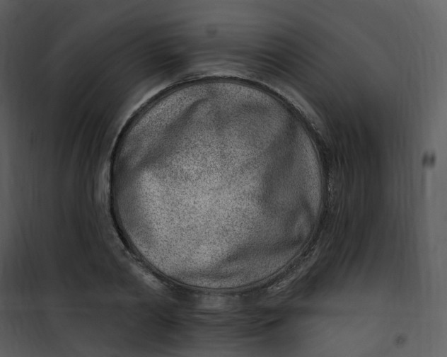 X0000101180790200807181446