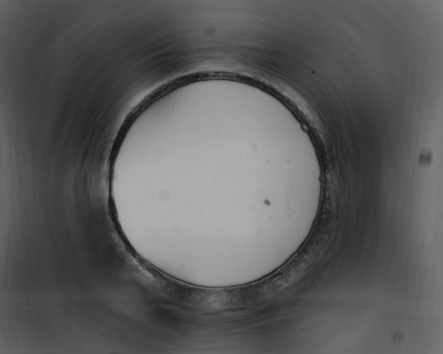 X0000101180791200807181446