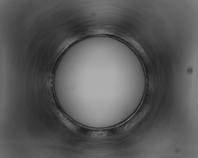 X0000101180793200807181446