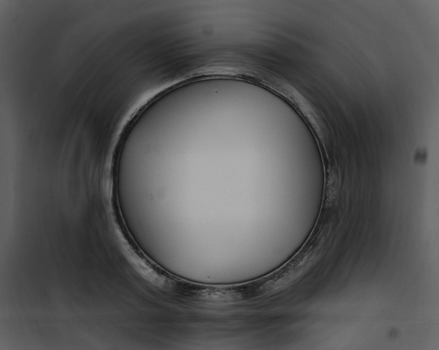 X0000101180795200807181446