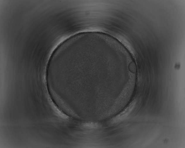 X0000101180797200807181446