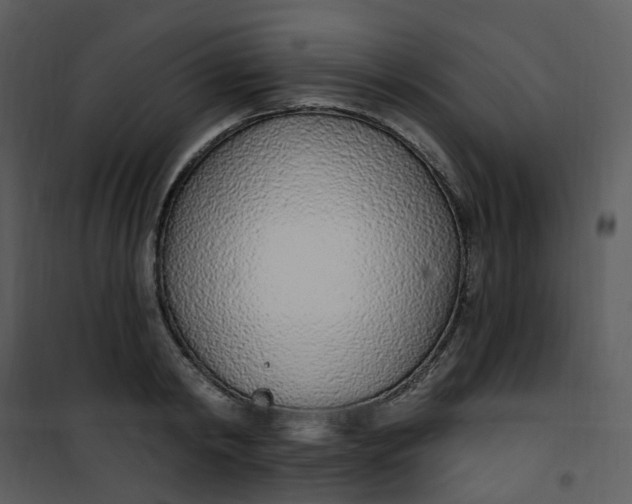 X0000101180798200807181446