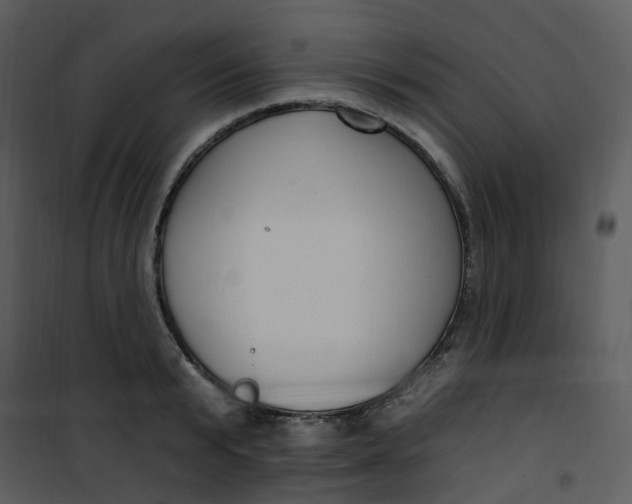 X0000101180799200807181446