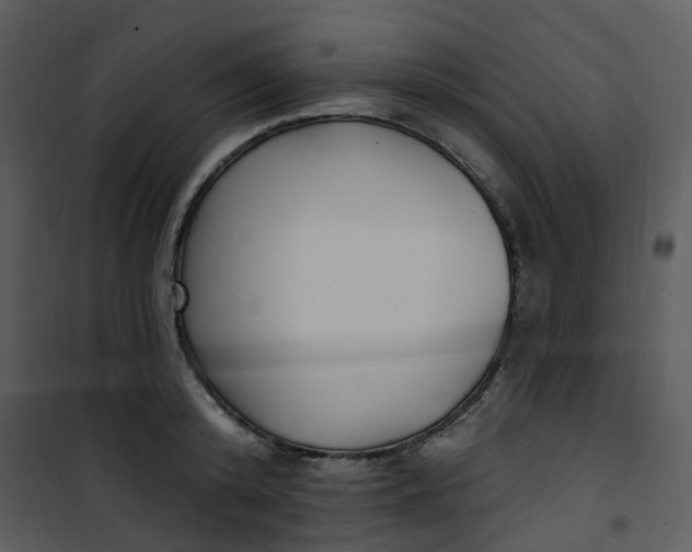 X0000101180800200807181446