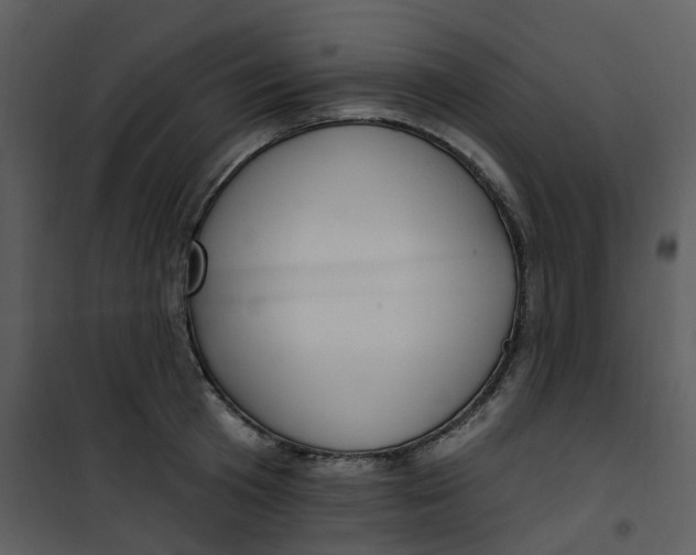 X0000101180801200807181446