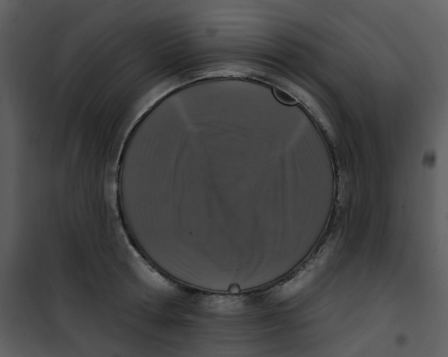 X0000101180802200807181446