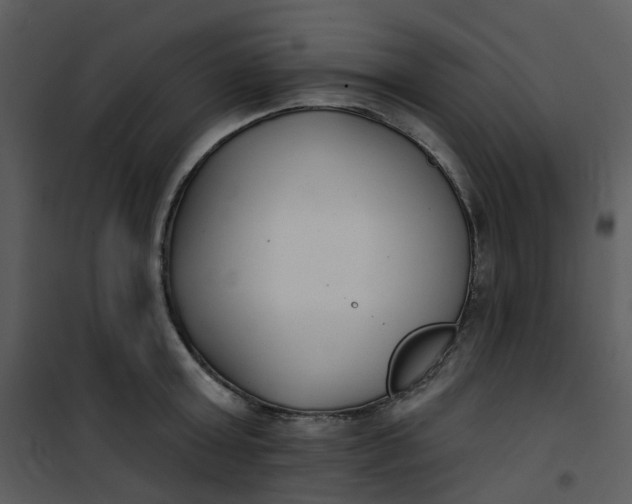 X0000101180803200807181446