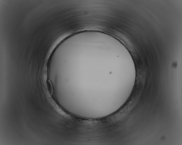 X0000101180804200807181446