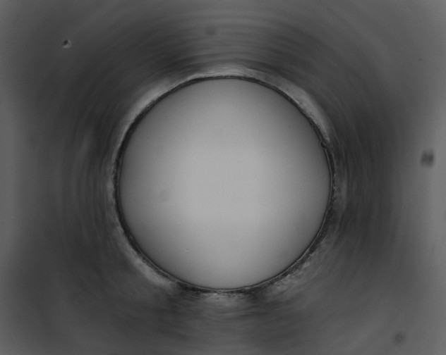 X0000101180805200807181446