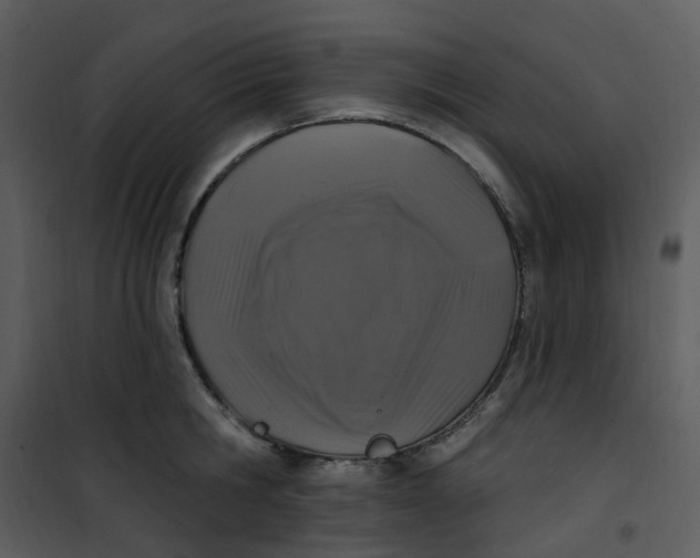 X0000101180806200807181446