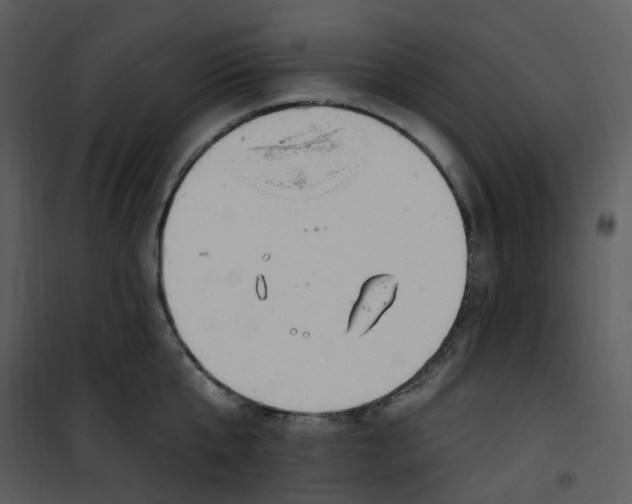 X0000101180807200807181446