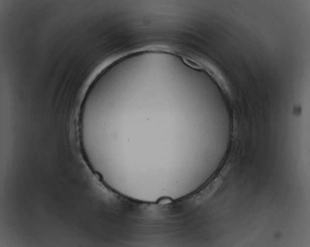 X0000101180808200807181446